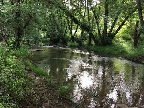 sendero molino del corcho|MOLINO DEL CORCHO